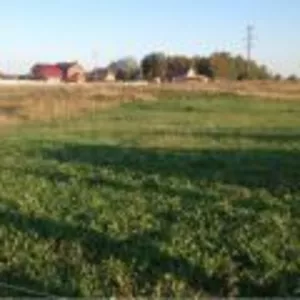 Продам земельный участок в Томском районе по адресу село Корнилово. 